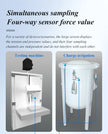 DAYSENSOR Digital ForceGauge Force Measuring Instrument Mulitiple ChannelDisplay